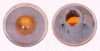 FIAT 0000046522717 Indicator